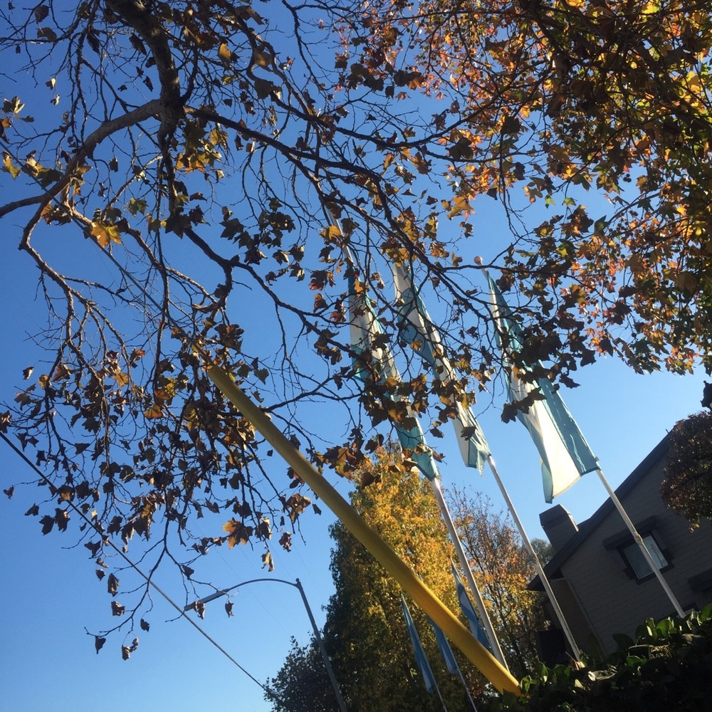 Meet your Posher, Theresa